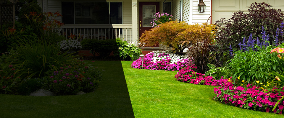 Cedar Rapids Landscapers