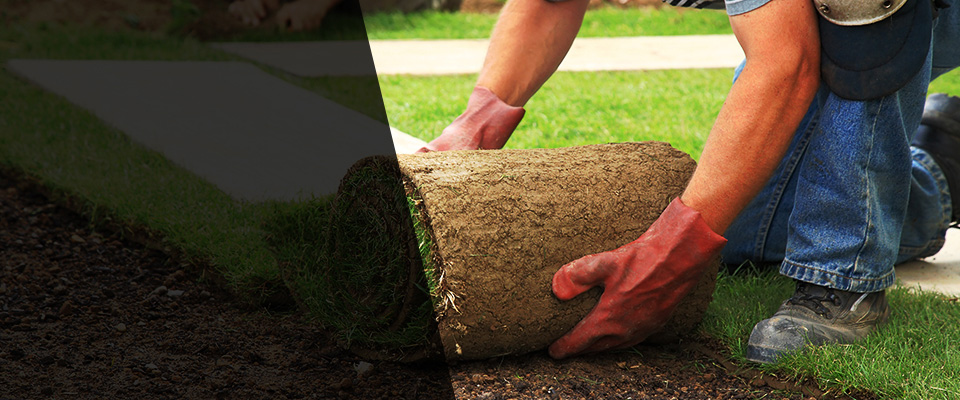 Cedar Rapids Landscapers